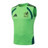 2026 Mexico Green High Quality Player Version Tank Top And Shorts Suit (球员套装)