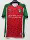 25-26 Palestine Third Fans Soccer Jersey 1:1 Thai Quality