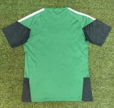 25-26 Algeria Green Special Edition Fans Training shirts