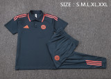 25-26 Bayern High Quality Polo Tracksuit