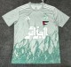 25-26 Algeria Grey Green Special Edition Fans Soccer Jersey