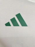 25-26 Algeria Light Green Player Version Training shirts