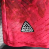 25-26 Japan Red Special Edition Player Version Soccer Jersey