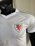 2026 Wales Away Player Version Soccer Jersey