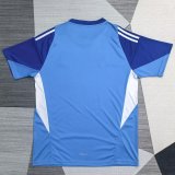 25-26 JUV Blue Goalkeeper Fans Soccer Jersey