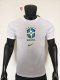 25-26 Brazil Special Edition Player Version Soccer Jersey