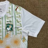 2026 Cote d'Ivoire Away Fans Soccer Jersey