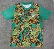 26-27 Cote d'Ivoire Green Special Edition Fans Soccer Jersey