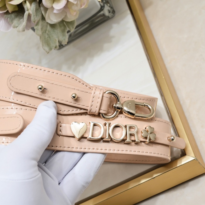 Dior Lady Classic Women Shoulder Bags 20cm