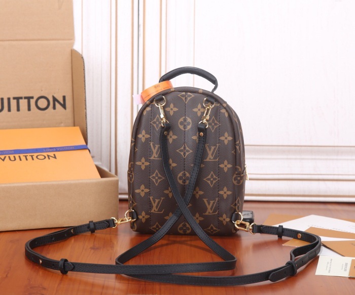 Louis Vuitton Nicolas Ghesquiere Palm Springs Mini Backpack Bags 17*22*10cm