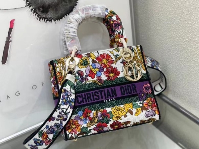 Dior Lady Women Shoulder Bags 24*20*11cm