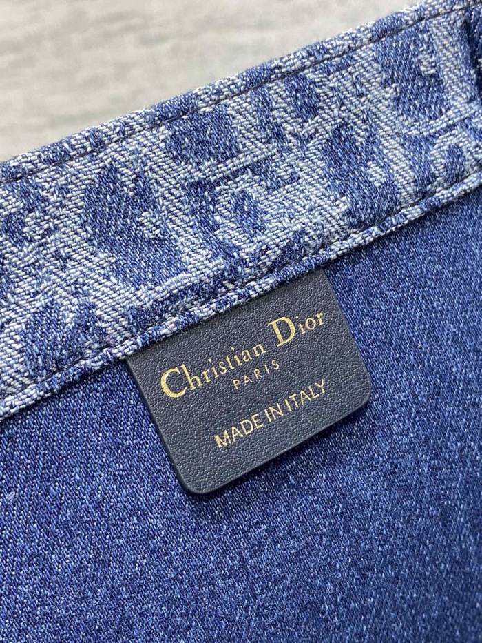 Dior Book Tote Handbags 2-Size