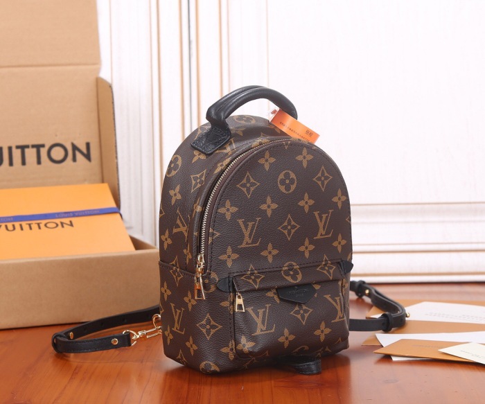 Louis Vuitton Nicolas Ghesquiere Palm Springs Mini Backpack Bags 17*22*10cm