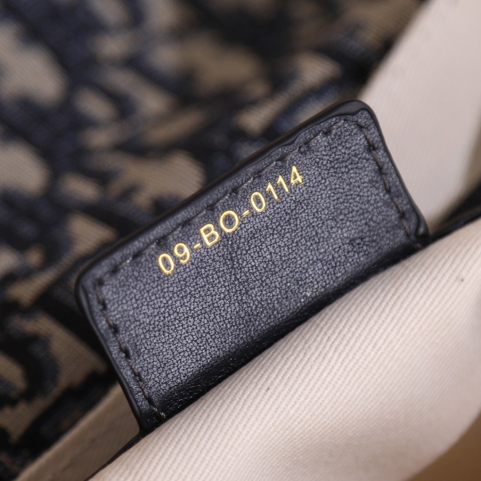Dior Kleine CD Besace Women Shoulder Bags 24*15*6cm