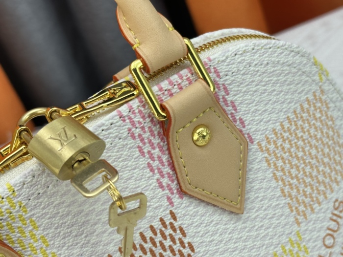 Louis Vuitton N40516 Alma BB Damierlicious Shoulder Bags Size 23*17*11cm