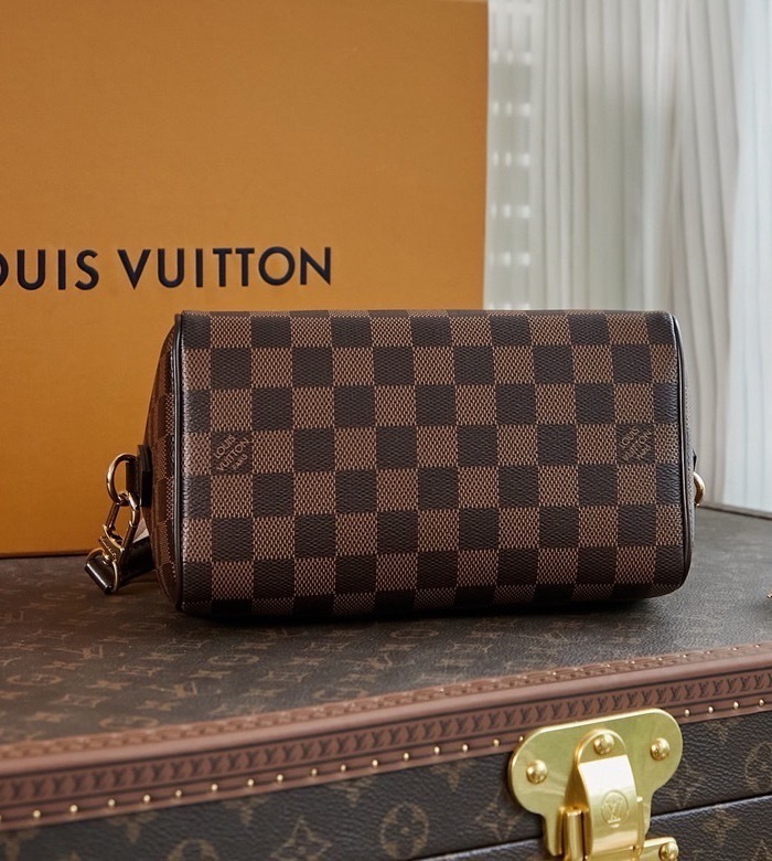 Louis Vuitton Sedy Bandouliere Shoulder Bags Size 20.5*13.5*12cm