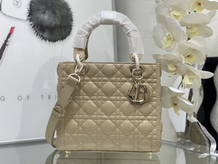 Dior Lady Women Shoulder Bags 24*20*11cm