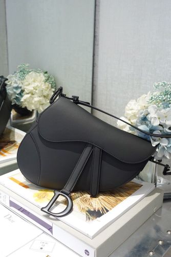 Dior Saddle Mens Shoulder Bags 2-Size