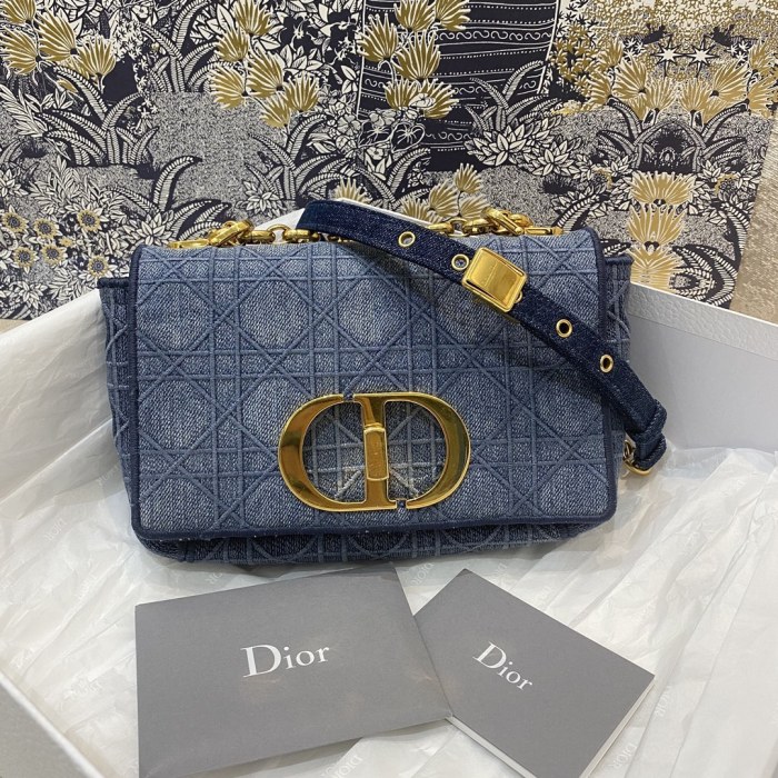 Dior Women Shoulder Bags 20*12*7cm