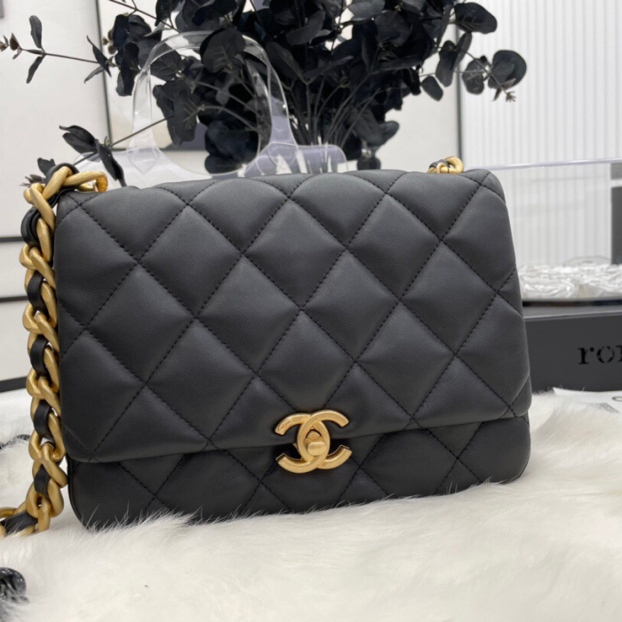 Chanel 2022SS Women Shoulder Bags 16*22*7cm