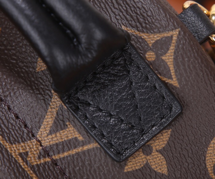 Louis Vuitton Nicolas Ghesquiere Palm Springs Mini Backpack Bags 17*22*10cm