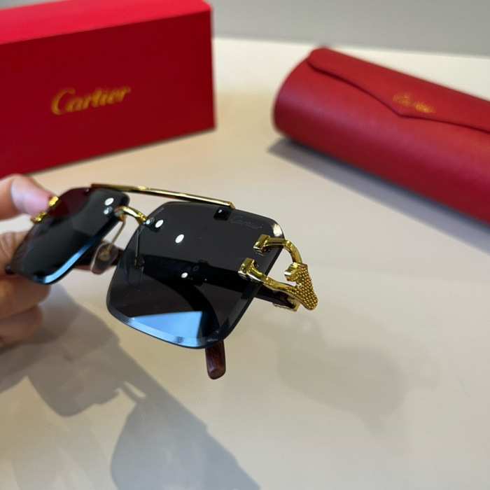Cartier Sunglasses