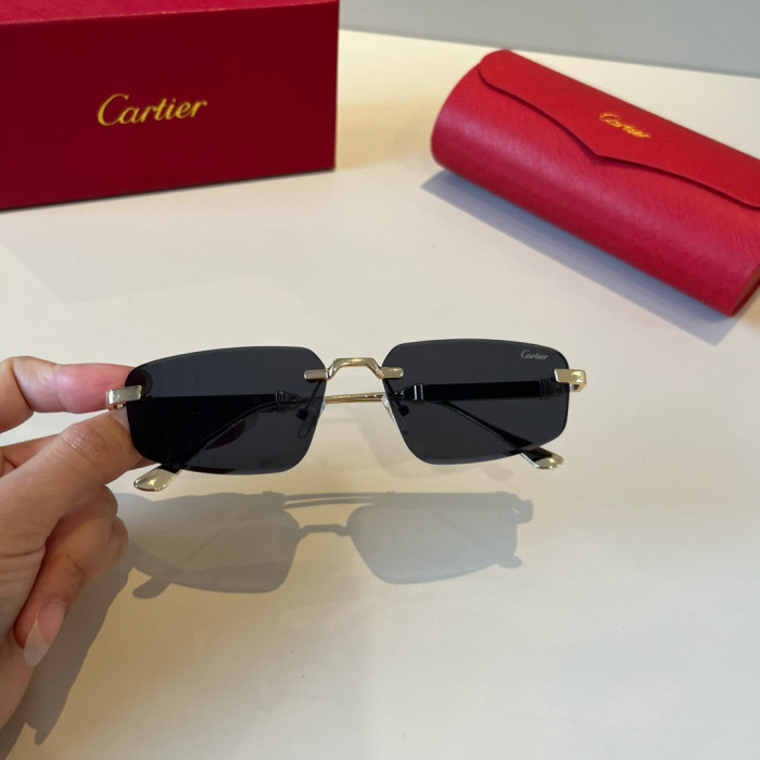 Cartier Sunglasses