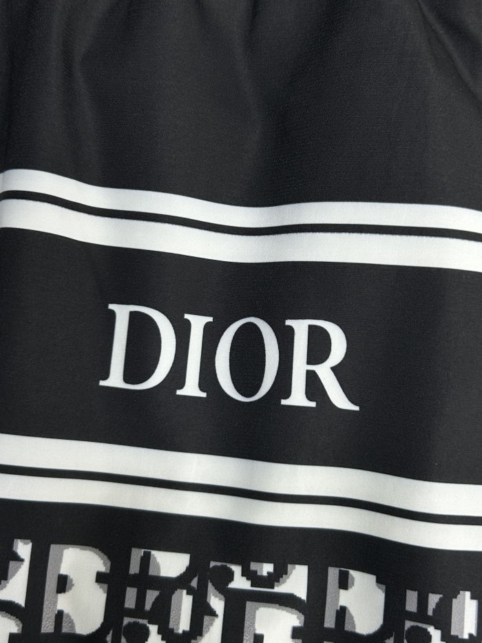 Dior Beach Shorts Size M-XXXL