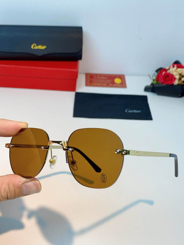 Cartier Sunglasses