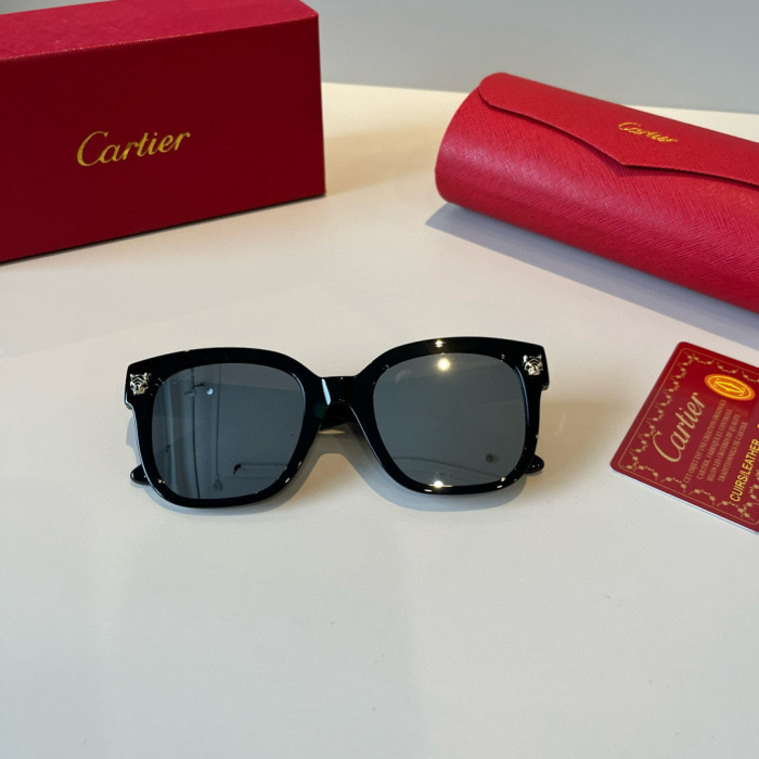 Cartier Sunglasses