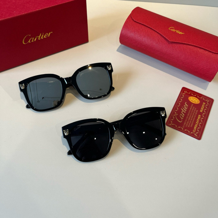 Cartier Sunglasses