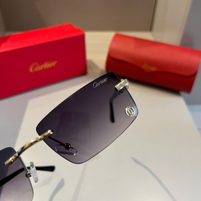 Cartier Sunglasses