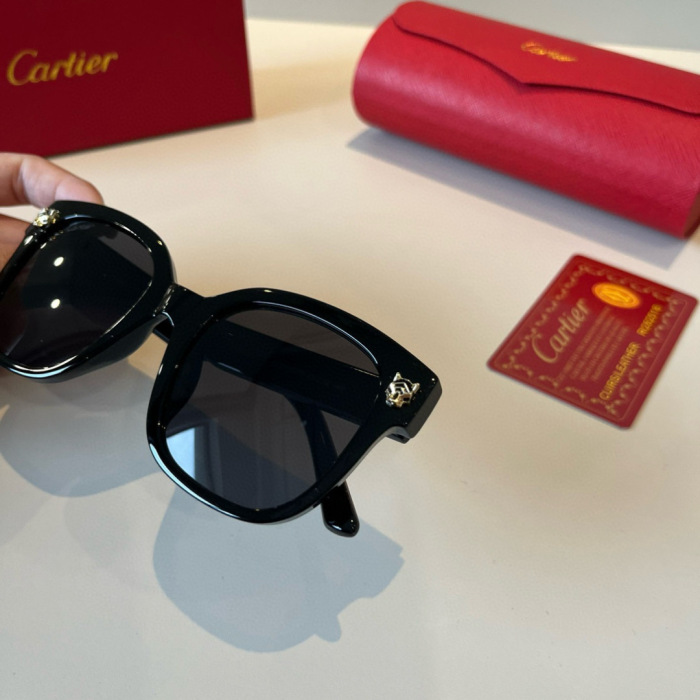 Cartier Sunglasses