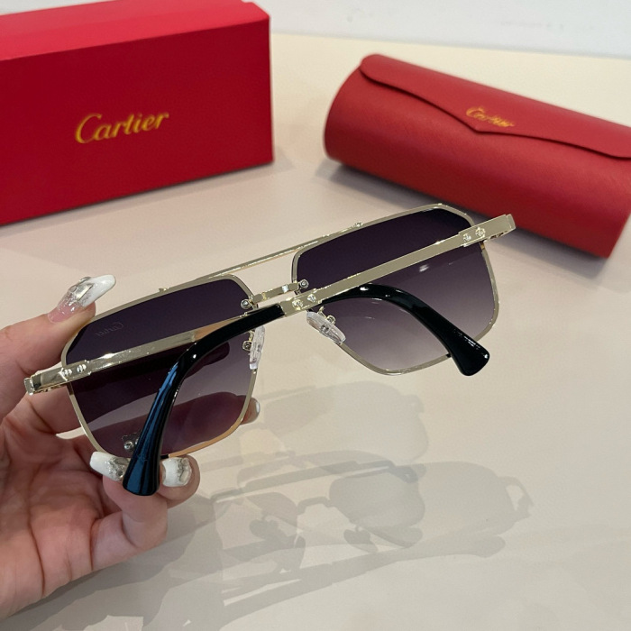 Cartier Sunglasses
