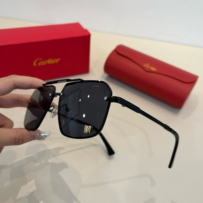 Cartier Sunglasses