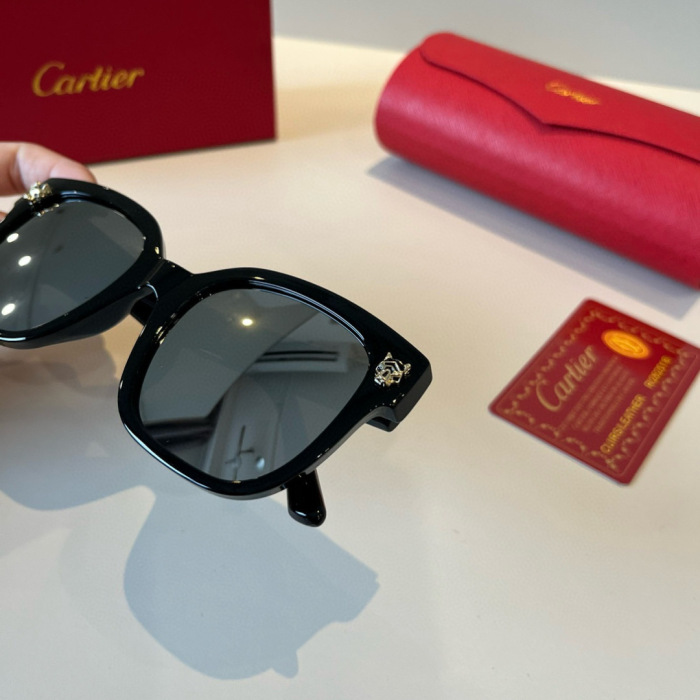 Cartier Sunglasses