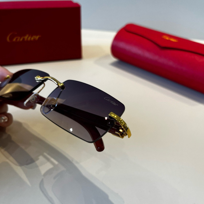 Cartier Sunglasses