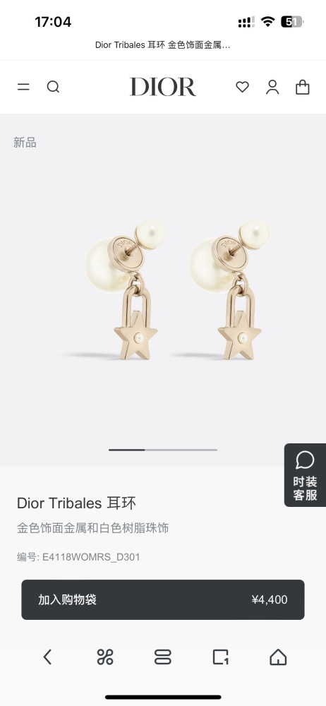 Dior Earrings