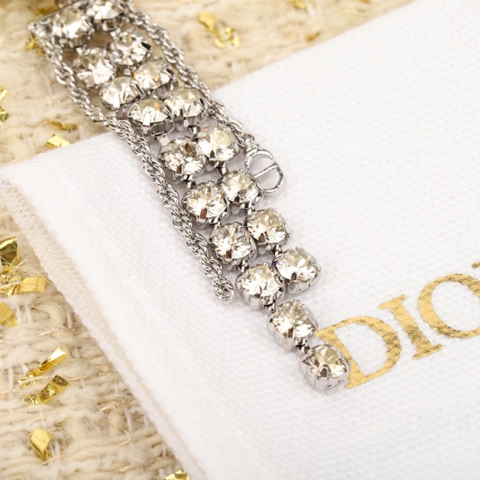 Dior Earrings