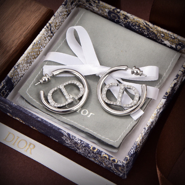 Dior Earrings