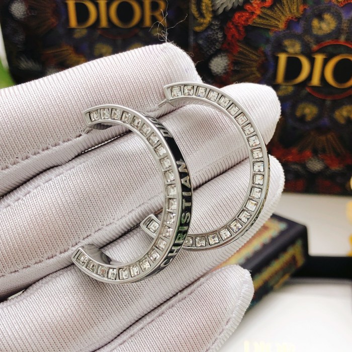 Dior Earrings