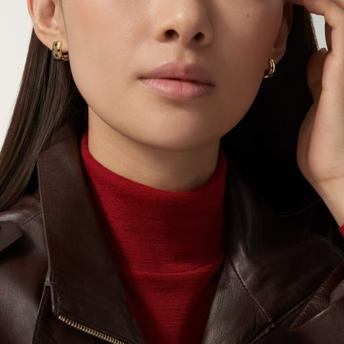 Cartier Earrings