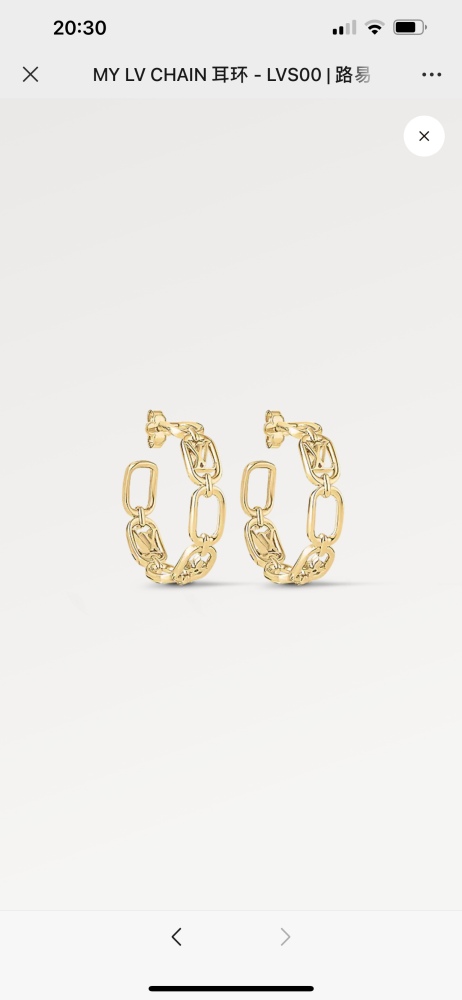 Louis Vuitton Earrings