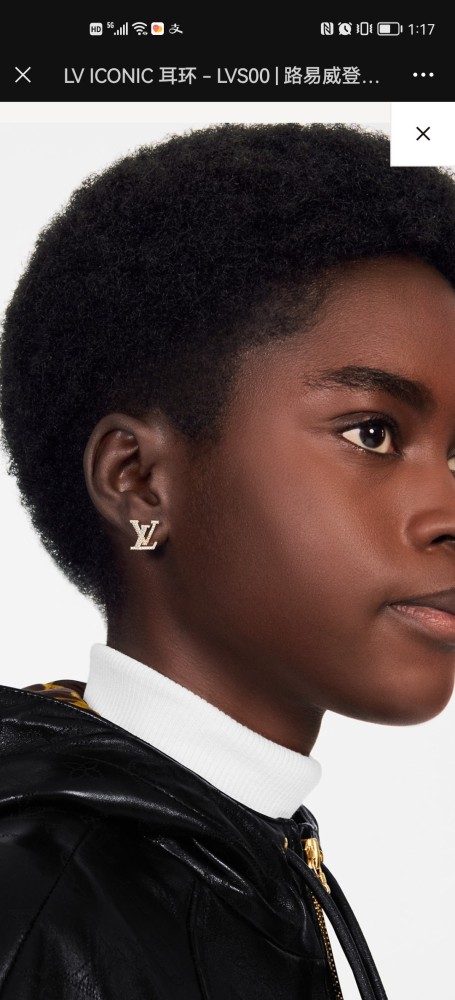 Louis Vuitton Earrings