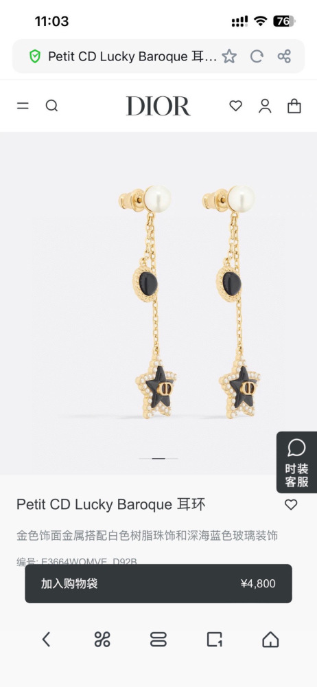 Dior Earrings