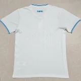 25-26 Napoli UEFA CL Away Fans Soccer Jersey (欧冠版)