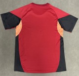 25-26 LIV Special Edition Fans Training Shirts