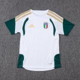 2026 Italy White High Quality Player Version Training Short Suit (球员套装)