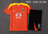 25-26 Brazil High Quality Training Short Suit