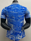 25-26 RMA Blue Special Edition Player Version Training Shirts (翻领龙)